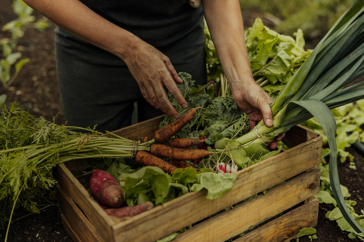 About Crops – CROPS HEALTH INC.